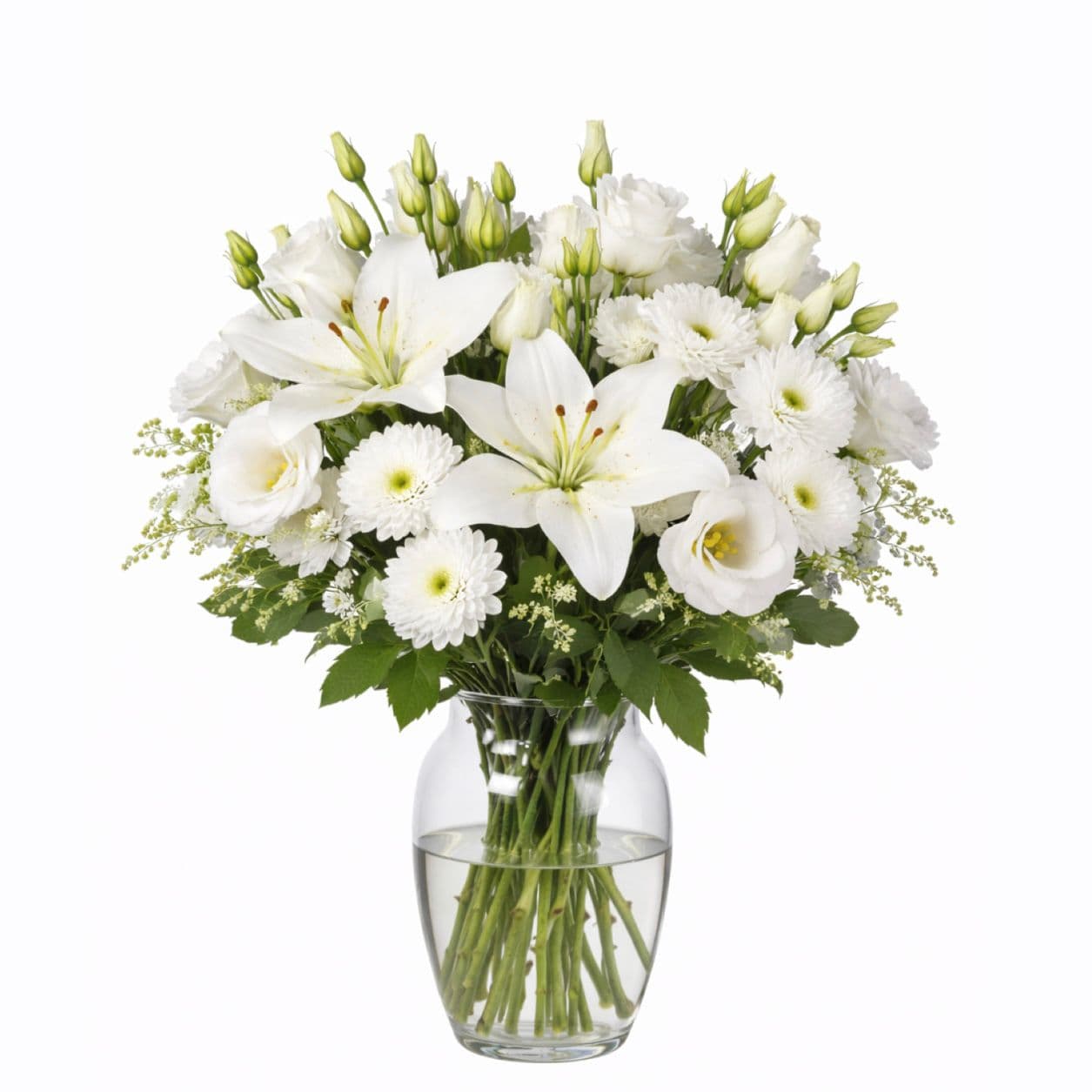 זר גווני לבן