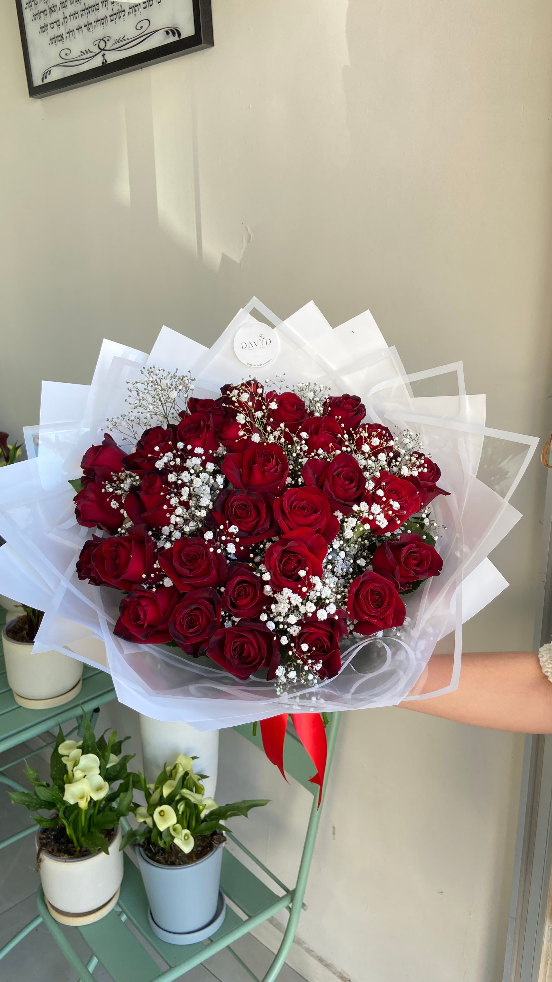 ורדים אדומים וגבסנית